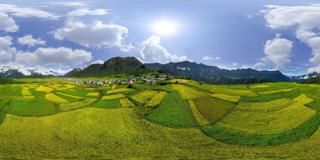 吉隆县 སྐྱིད་གྲོང་རྫོང།_ 吉隆镇 (23)